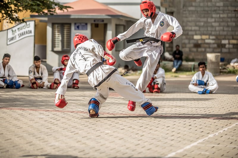 Karate practitioners