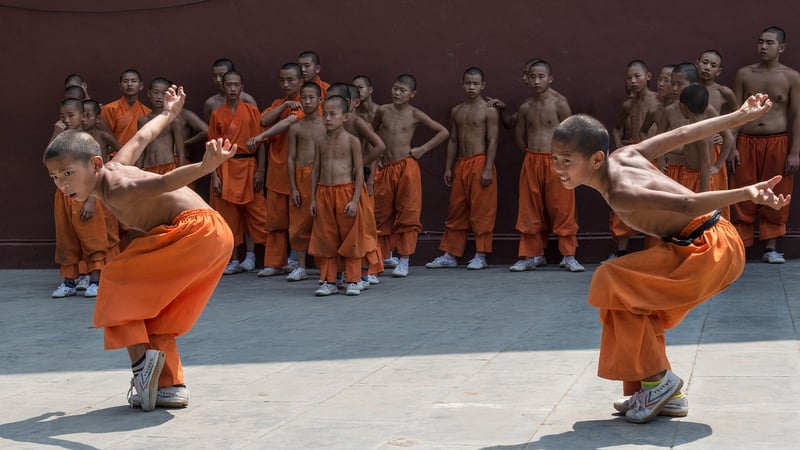 Wu Style Martial Arts Training
